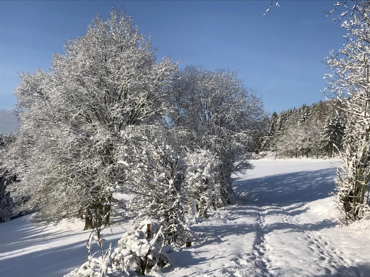 שליידן Villa Holgenbach - Penthouse- Und Ferienwohnung Im Nationalpark Eifel מראה חיצוני תמונה