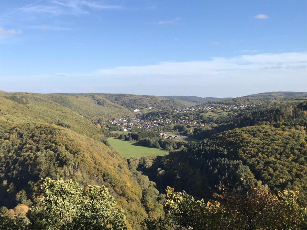 שליידן Villa Holgenbach - Penthouse- Und Ferienwohnung Im Nationalpark Eifel מראה חיצוני תמונה