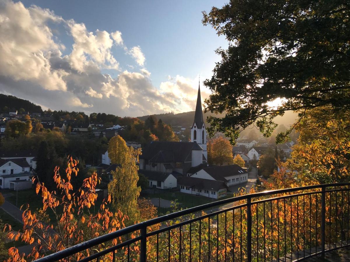 שליידן Villa Holgenbach - Penthouse- Und Ferienwohnung Im Nationalpark Eifel מראה חיצוני תמונה