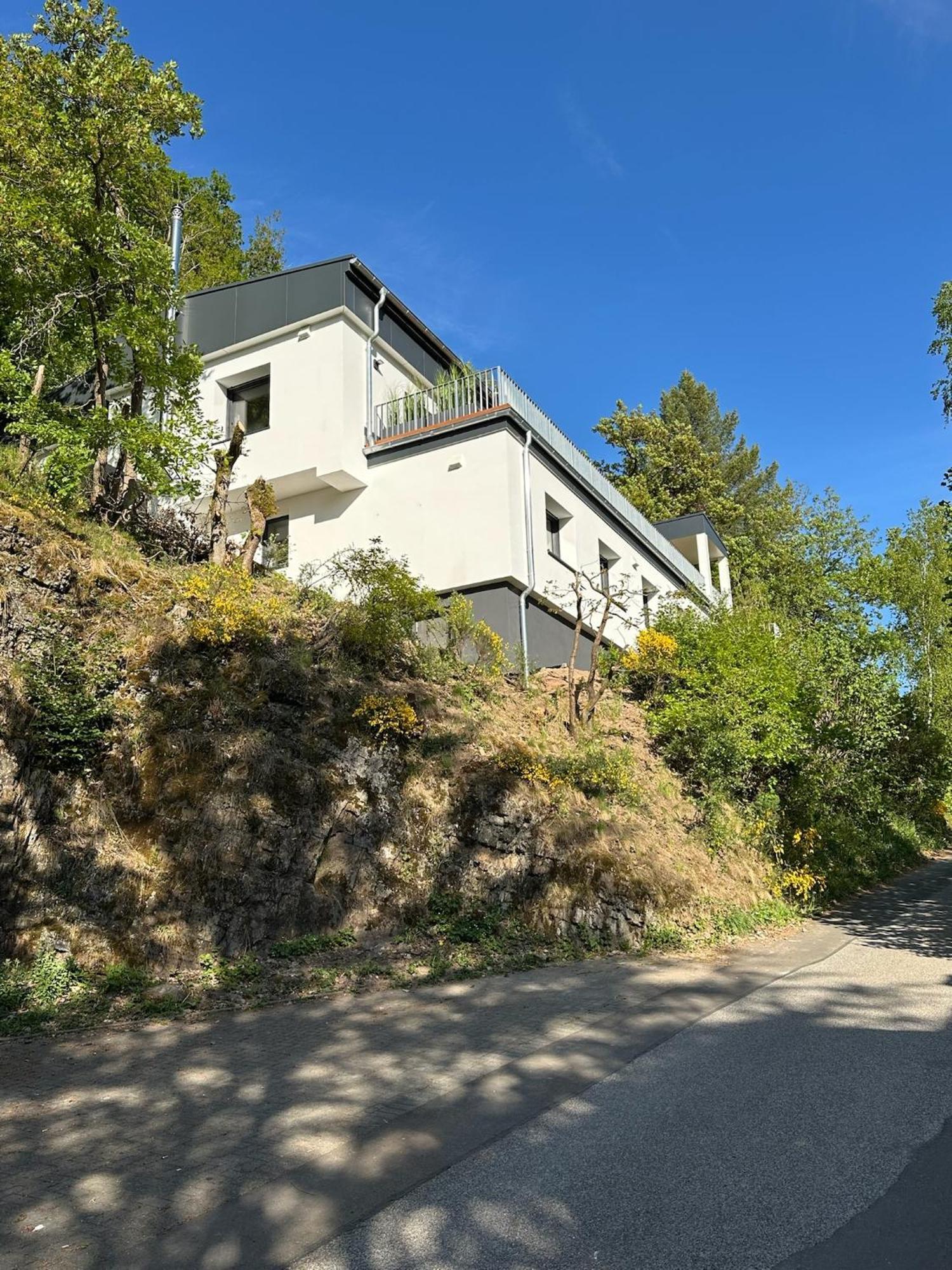 שליידן Villa Holgenbach - Penthouse- Und Ferienwohnung Im Nationalpark Eifel מראה חיצוני תמונה