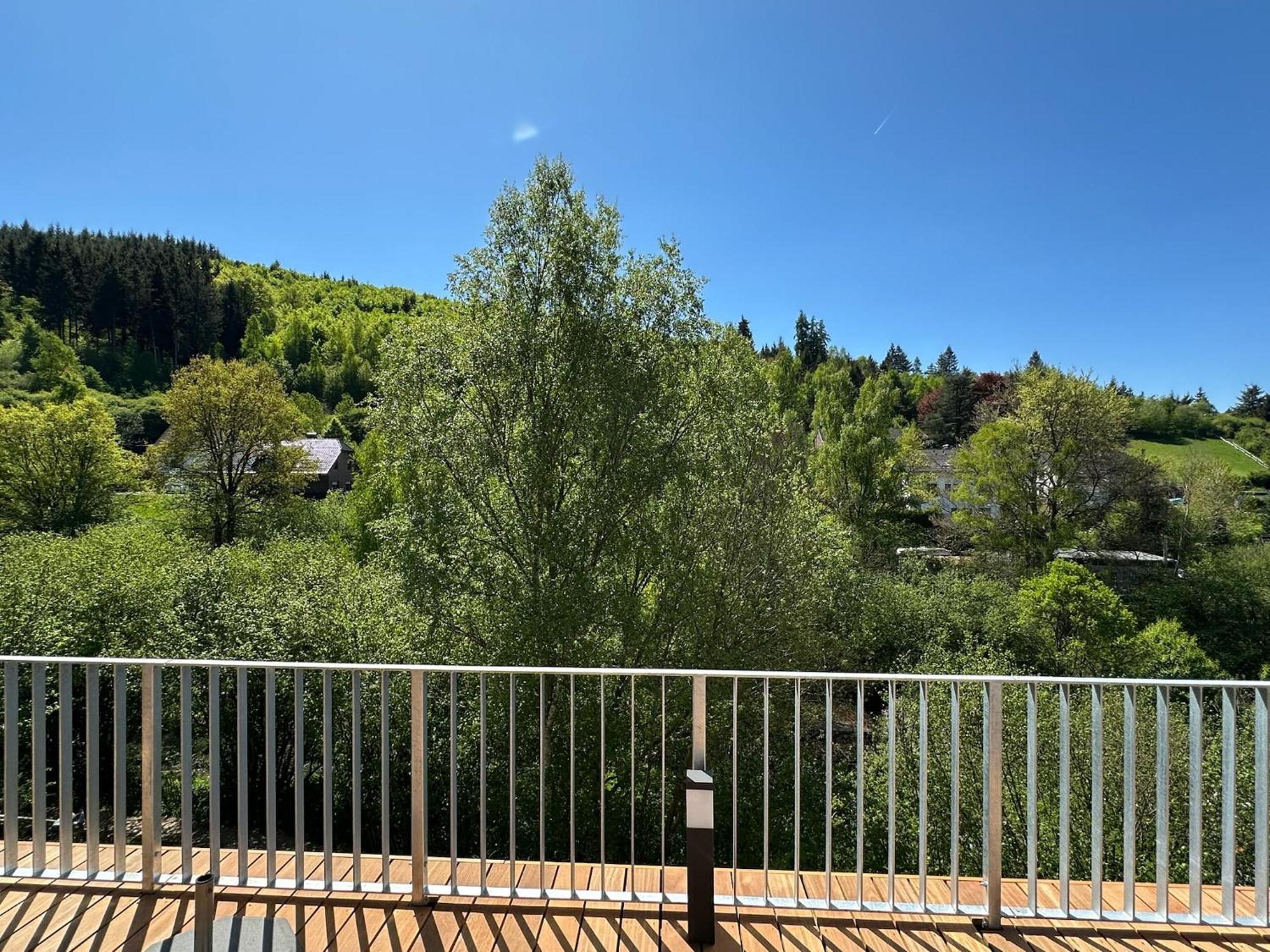שליידן Villa Holgenbach - Penthouse- Und Ferienwohnung Im Nationalpark Eifel מראה חיצוני תמונה