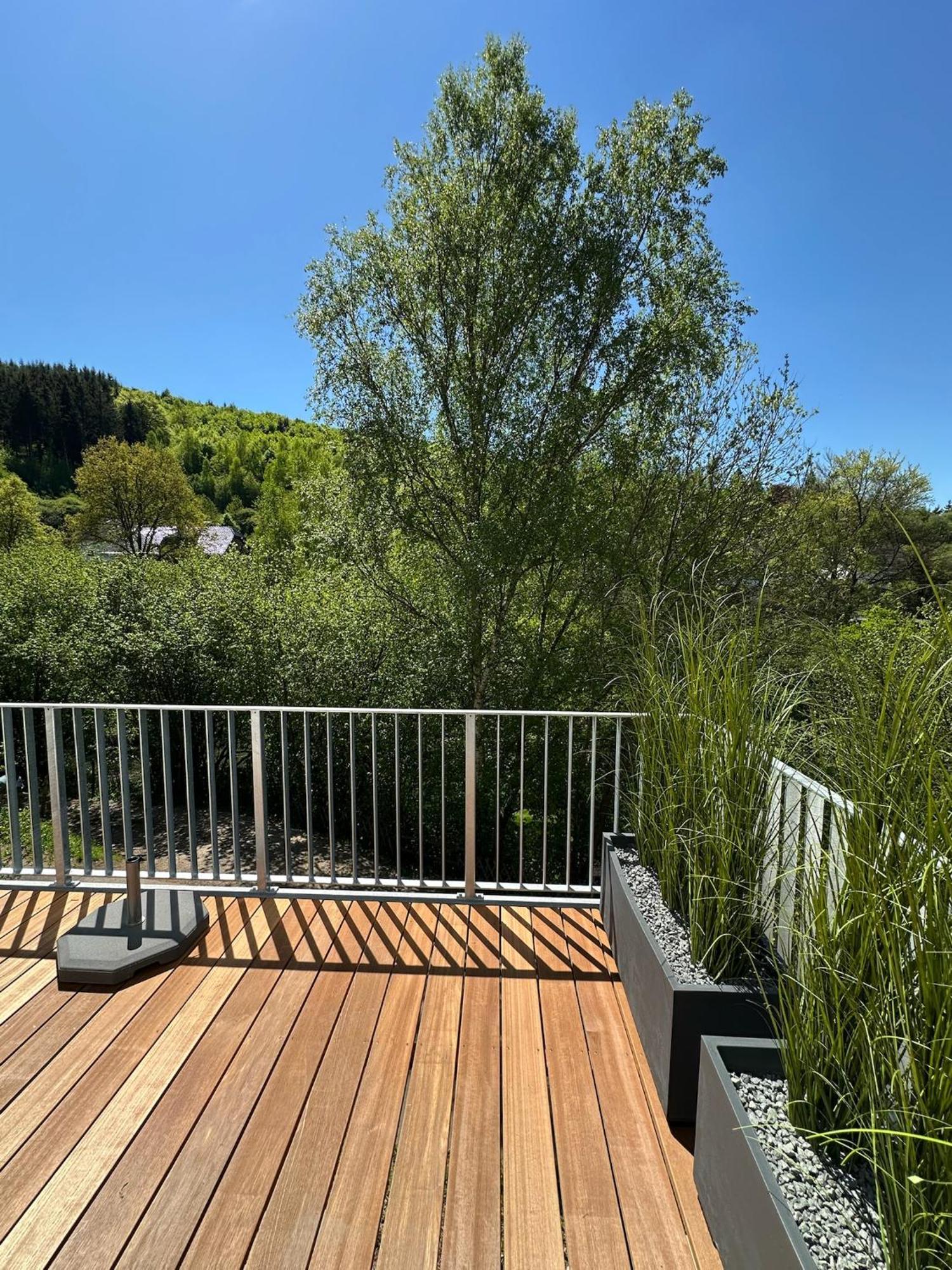 שליידן Villa Holgenbach - Penthouse- Und Ferienwohnung Im Nationalpark Eifel מראה חיצוני תמונה